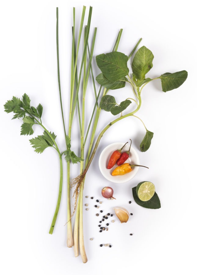 Schmuckbild Download